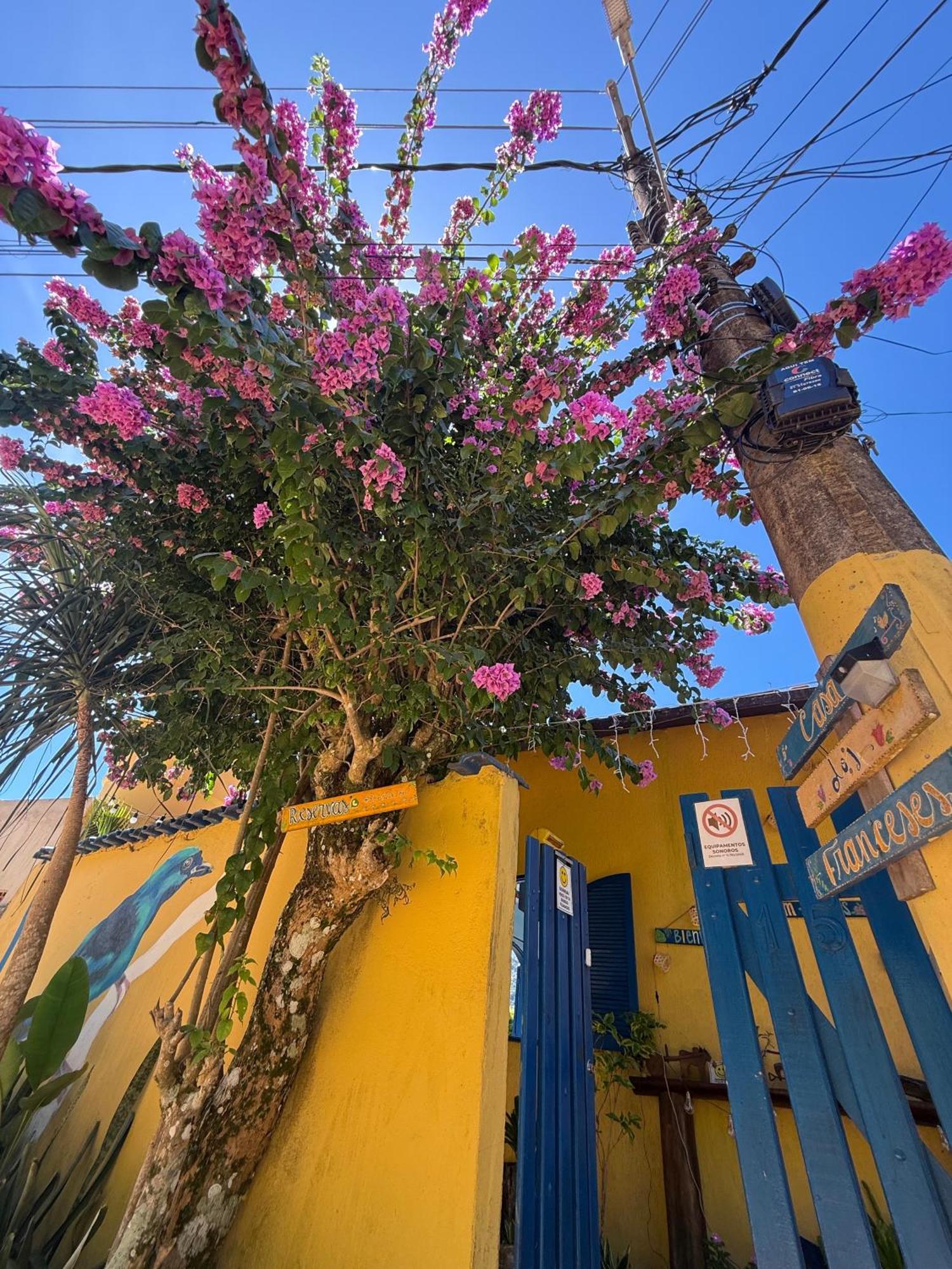 Willa Casa Dos Franceses Ilha Grande Zewnętrze zdjęcie
